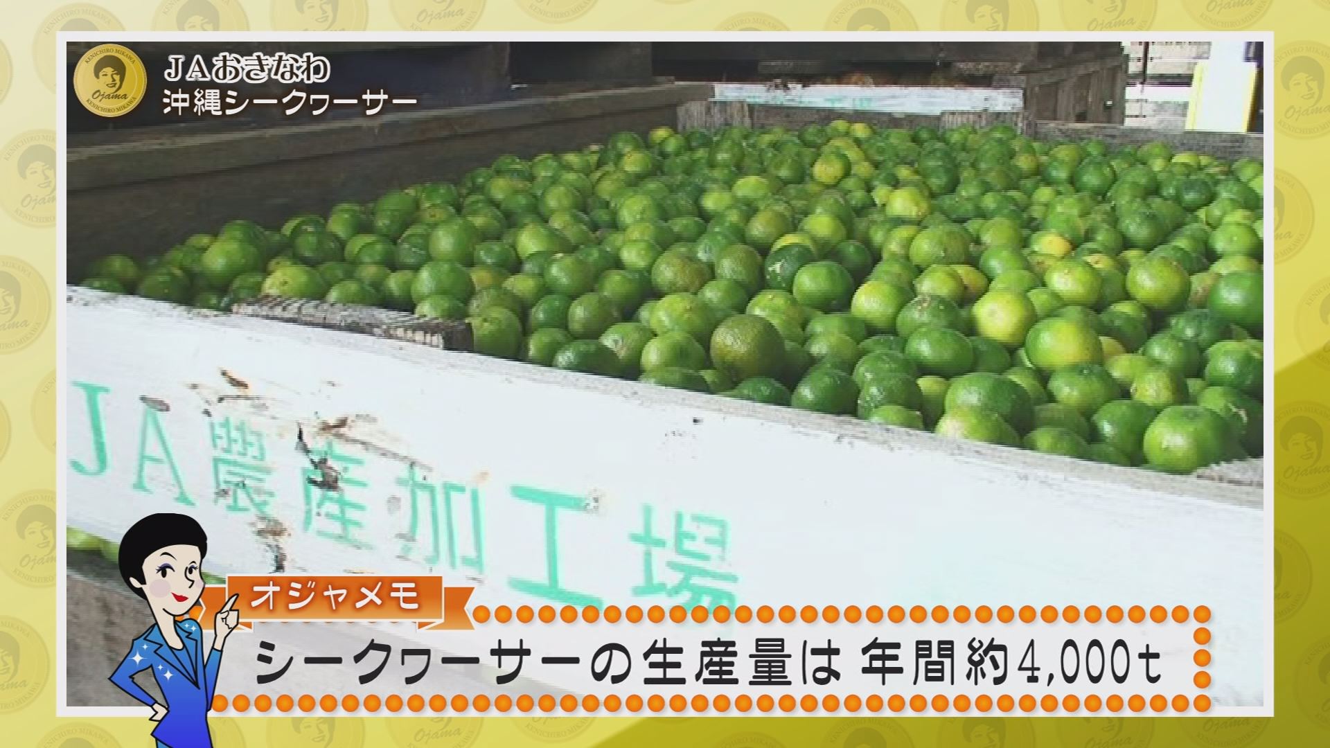 8月5日の沖縄bon 魅川憲一郎のオジャマするわよ 大宜味村シークヮーサー畑 Rbc 琉球放送