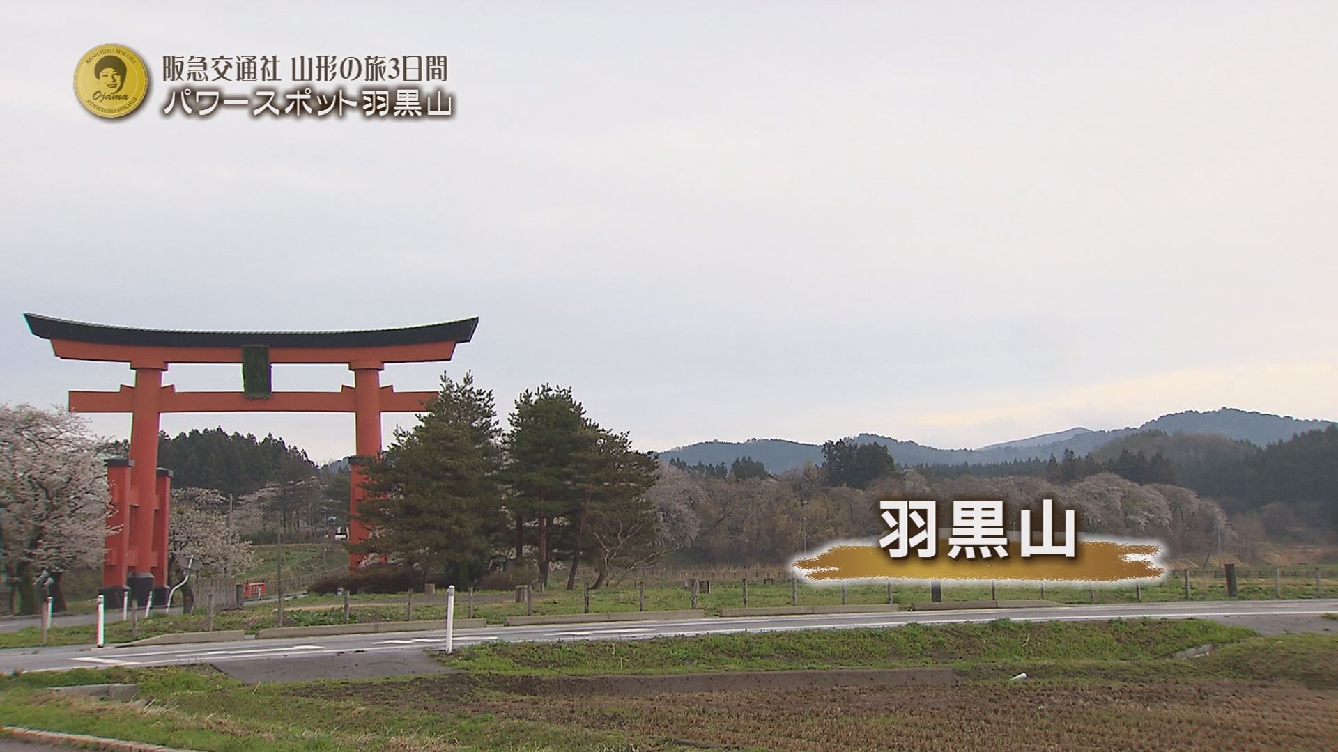 5月9日の沖縄bon 魅川憲一郎のオジャマするわよ 阪急交通社 Rbc 琉球放送